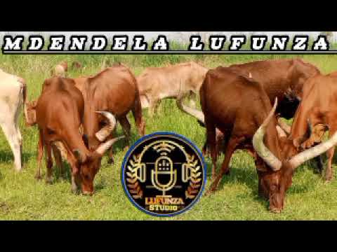 MDENDELA LUFUNZA UJUMBE WA IGEMBE 2026 BY MSAMBAZAJI LUFUNZA MANYANDA 