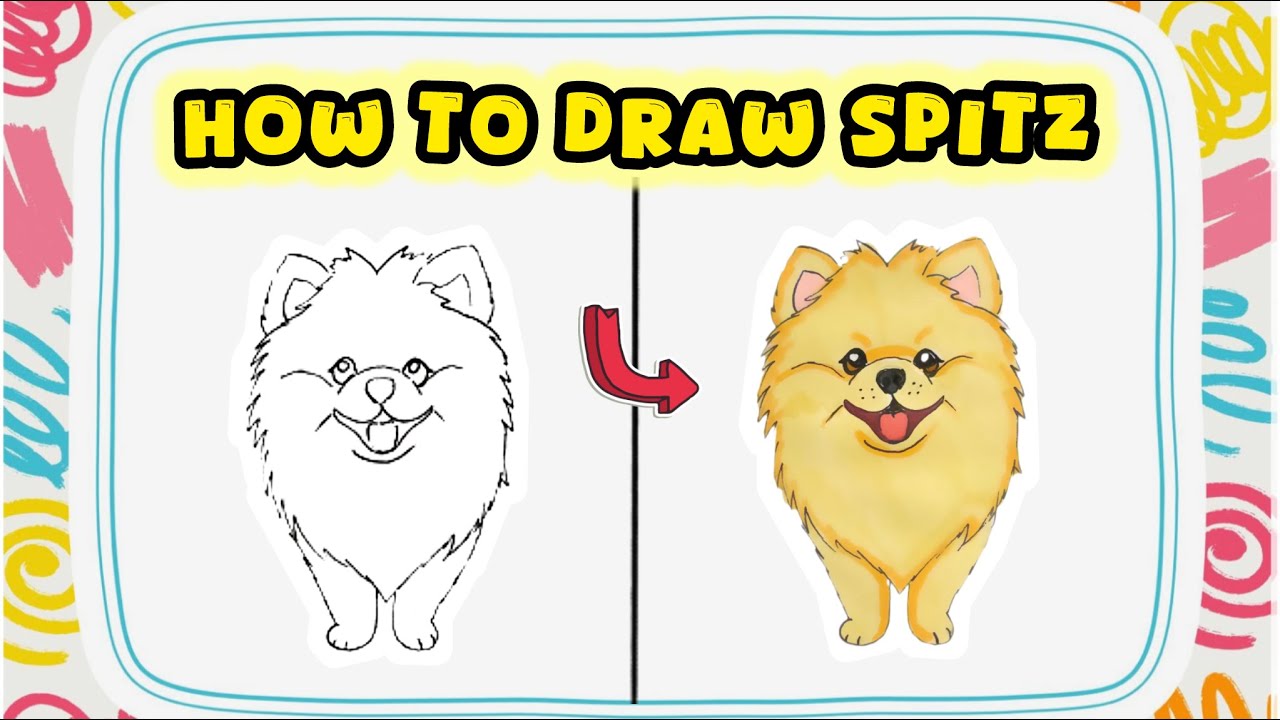 How to Draw a Spitz Dog – Cute Dog Breed Drawing Masterclass