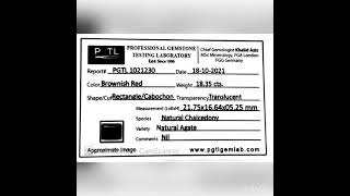 PGTL1021230