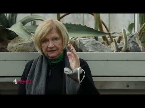 Bisera Veletanlić ∣