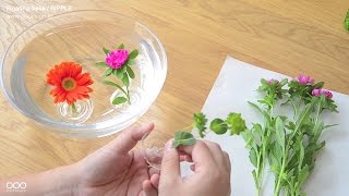 how to use Floating Vase / RIPPLE