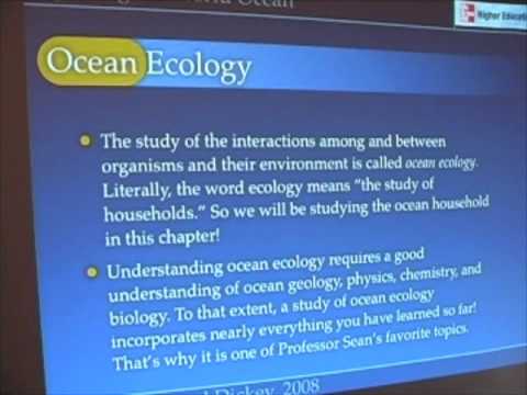 Ocean Food Webs Introduction