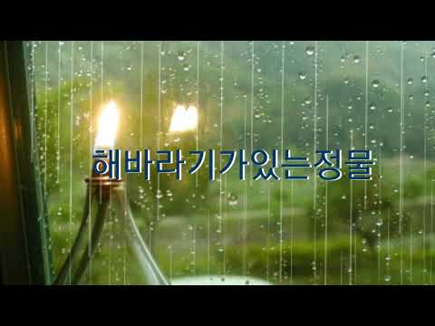 해바라기가있는정물(산울림)Cover깃가휴