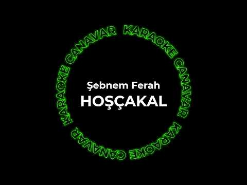 Hoşçakal – Şebnem Ferah karaoke