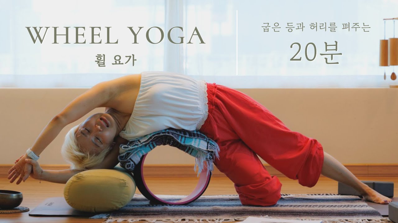 하루 1번만 따라해보세요 | 장시간 앉아있는 직딩, 학생들 강추 | #허리통증 #일자목 #말린어깨 #휠테라피