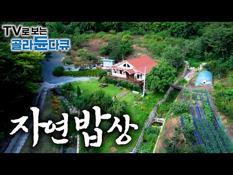 🍚건강하지만 든든한 밥 한 끼. 자연의 맛을 가득 담은 밥상을 차려내는 외딴 오지 사람들 🍚1시간 몰아보기｜한국기행｜#tv로보는골라듄다큐