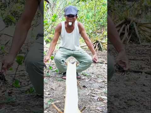 survival SKills SIMPLE and USEFUL in the best bushcarft campping outdoors