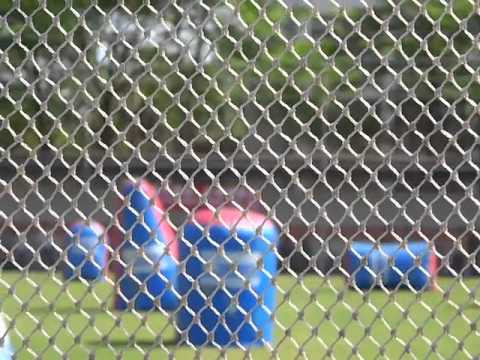 屬於我們的漆彈比賽2-高雄社教館1030413  Paintball game in Taiwan Kaohsiung