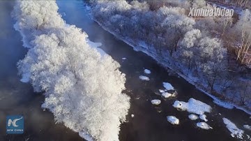 Cảnh sương muối tuyệt đẹp ở Hắc Long Giang, Trung Quốc