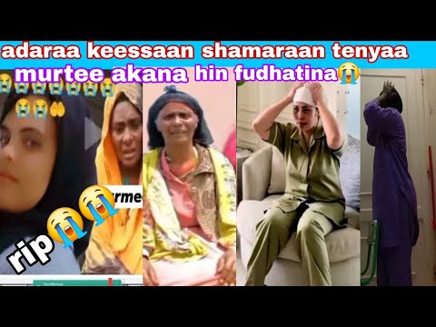 Gada Laphee Nama Cabasuu Shamaraan Tenyaa Biyaa Arabaa Murtee Akana Hin Fudhatina Maloo