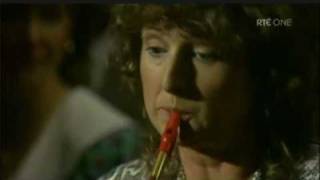 Video thumbnail of "Mary Bergin Tin Whistle"