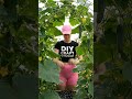 How to Grow a Cucumber Arch! 🥒 DIY Garden Trellis & Harvest Guide