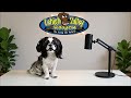 🎙️ Jade's Podcast: The Scoop on a Clean Yard