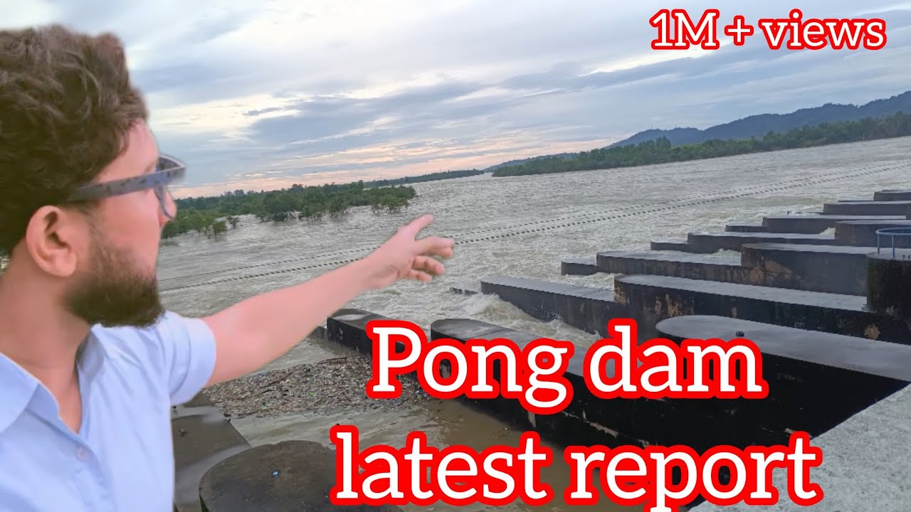 Pong dam || latest report || live ground report || viral video 