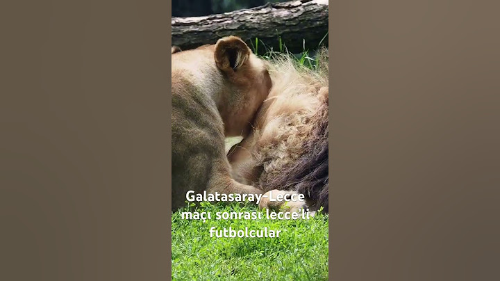 Galatasaray 2-1 Lecce