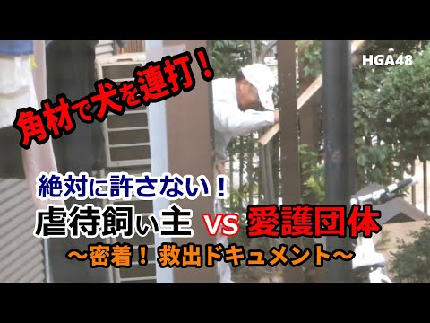 虐待飼い主 vs 動物愛護団体  角材で柴犬を叩く