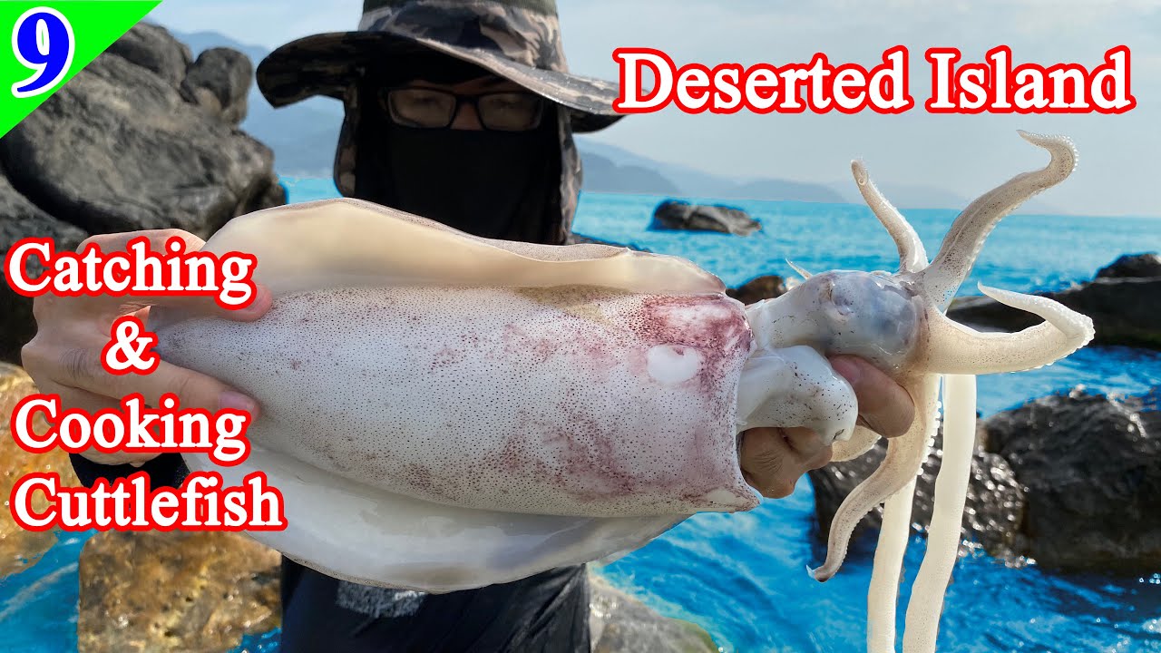 Amazing !!! Eat Giant Cuttlefish, Delicious Seafood Survive On Deserted Island 9 YouTube