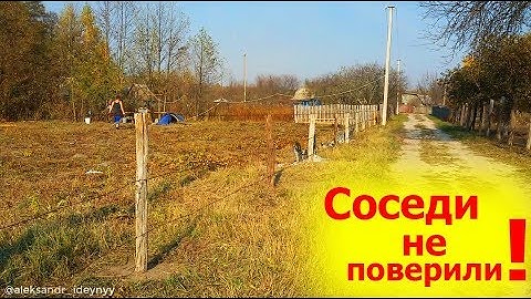 заборы с колючей проволокой заборы с колючей проволокой