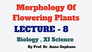 Morphology Of Flowering Plants  | L - 8 | Biology | Class 11 |  By Prof. Dr. Anna Gophane. screenshot 3