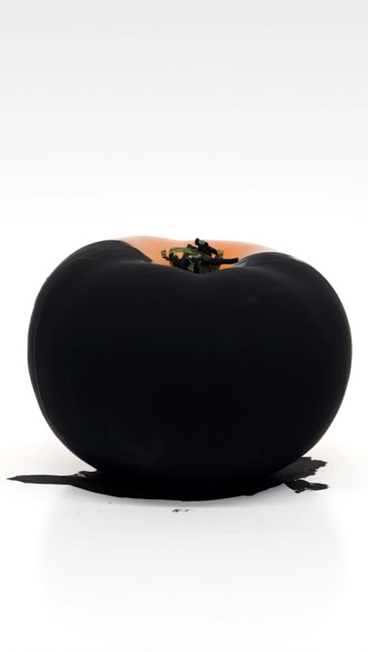 This is one of the world's blackest paints