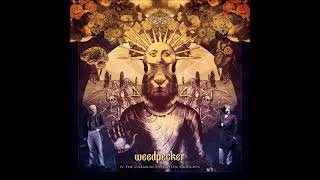 Weedpecker - Fire Far Away