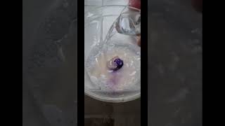 Bayram Temi̇zli̇ği̇ Sirke,Parlatıcı,Arapsabunu Yumuşatıcı Ile Çok Kolay Şfet