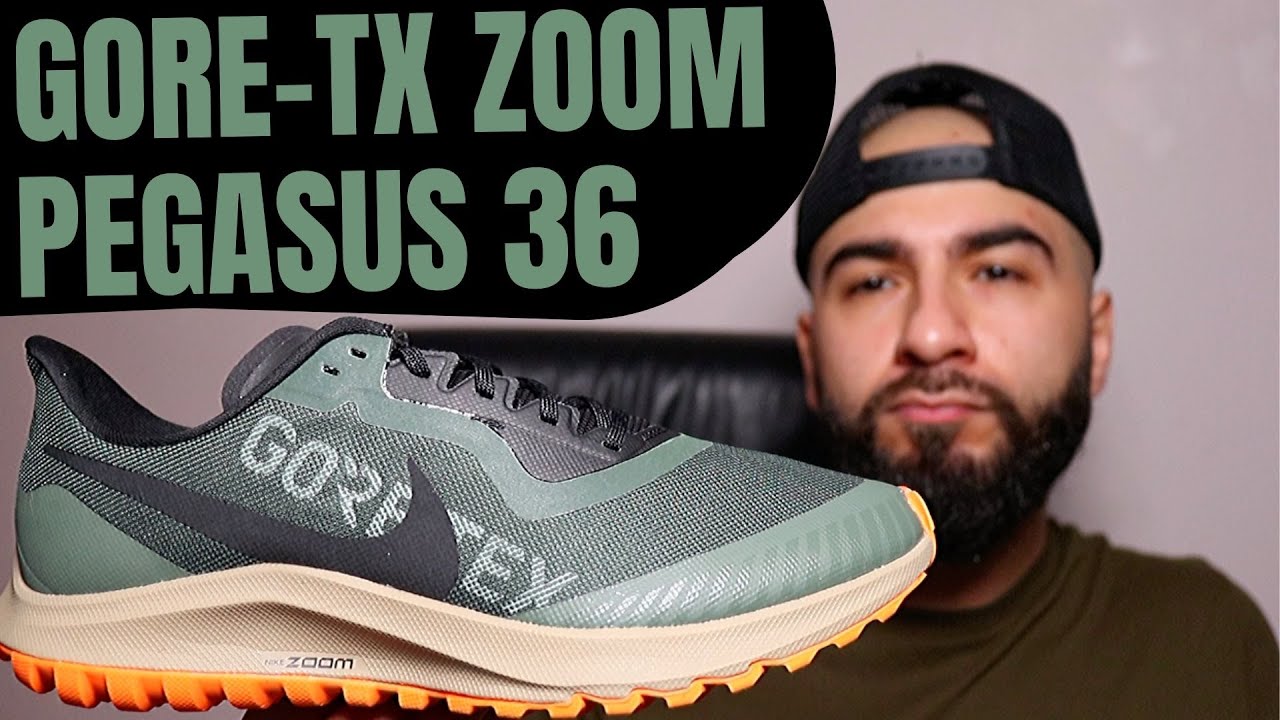 nike zoom pegasus gore tex review