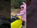 ハシャギすぎて壁に激突!?#shorts