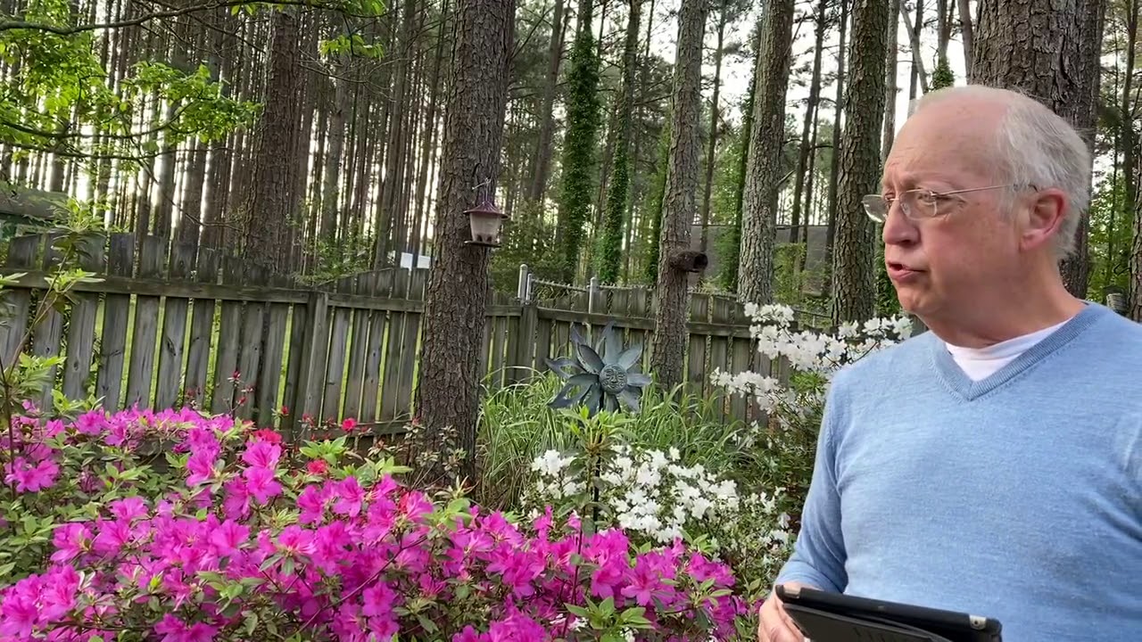 Morning has Broken: Song by Steve Plummer