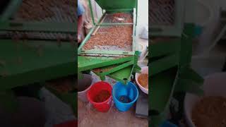 Badem Boylama Maki̇nesi̇ - Kali̇bre Elekleri̇