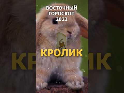 Восточный гороскоп 2023 для Кролика #Shorts