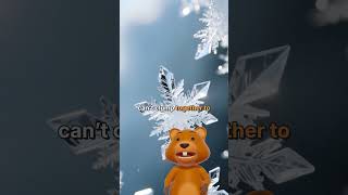 The Truth About Cold and Snow