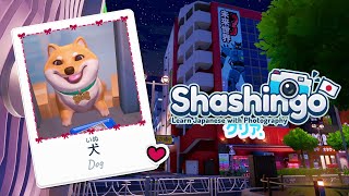 Learning Japanese with... Photography? Shashingo Overview