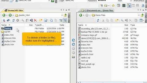 Managing files/folders in SmartFTP | FastDot Cloud Hosting