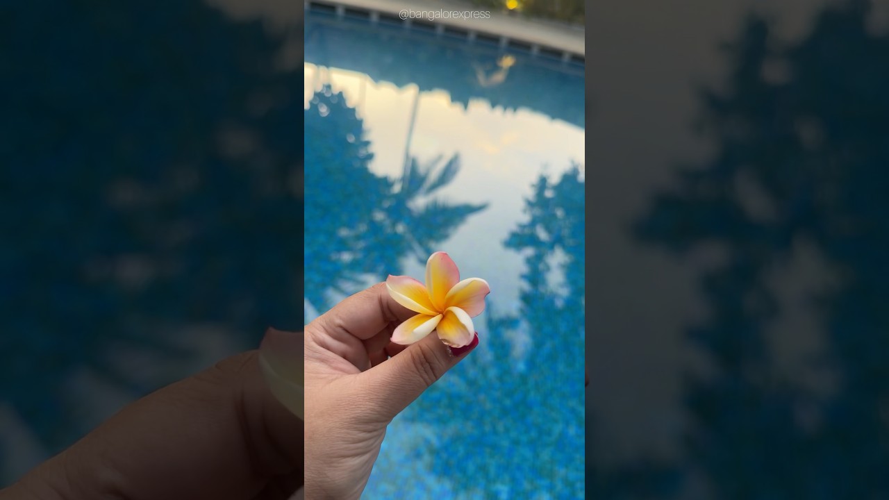 Staycation At Taj West End | Didn’t get the Bathtub room 😭| Anniversary Luxury Stay in Bengaluru