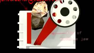 Niger Pyrophyllite breaker of  price& sale