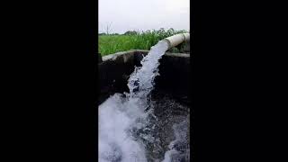 Pindan de jaye punjabi Latest song (sajjan adeeb) pind de Moter .pindan wale jatt