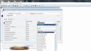 INV Item Templates, Oracle Applications Training