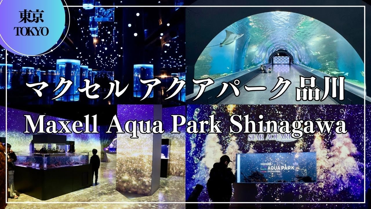 マクセル アクアパーク品川 Maxell Aqua Park Shinagawa Ι 東京 水族館 Aquarium Tokyo Japantravel 絶景