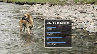 Infographic Call Outs After Effects Templates