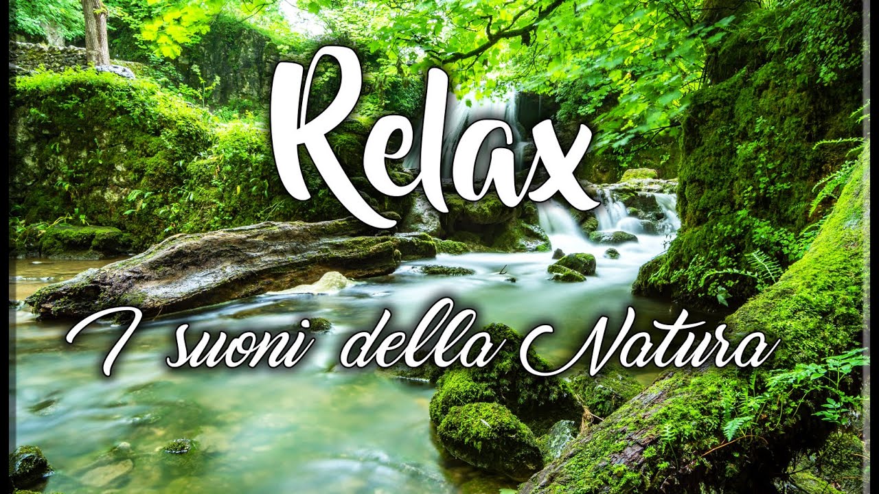 Foresta : 4 ore di Suoni della Natura - YouTube