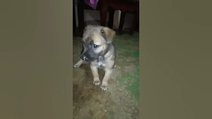 Bagong saltaAnong pakiramdam???