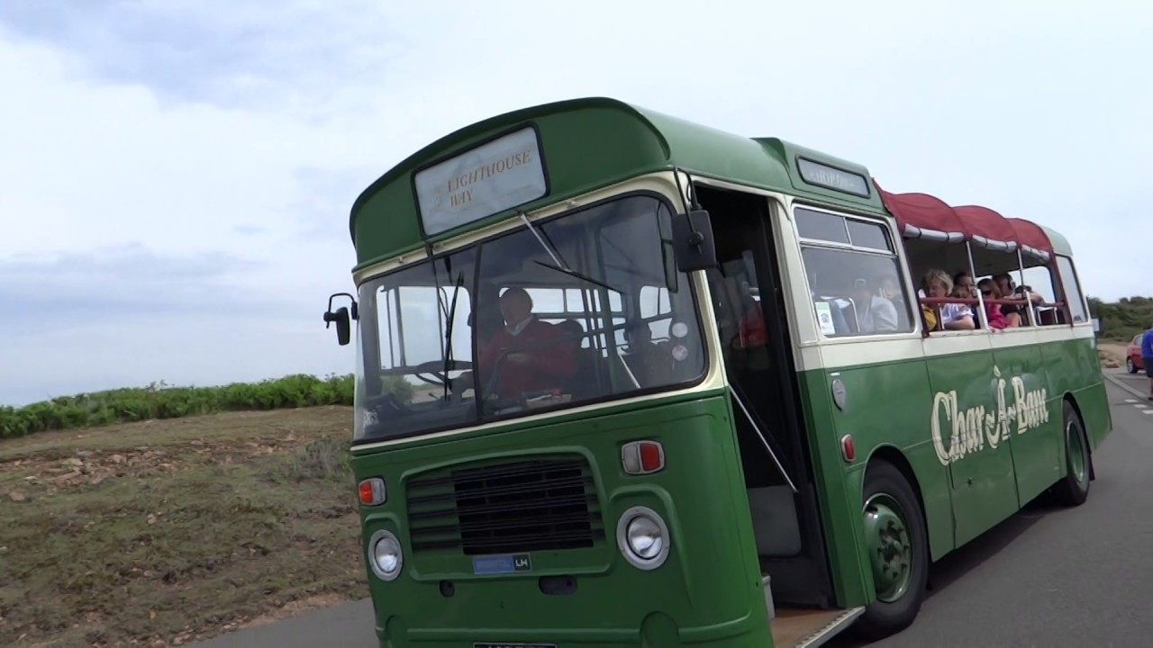 waverley coach tours jersey