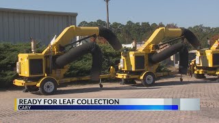 Cary ready for leaf collection