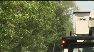 DOT cutting trees along I-91 in Franklin County for safety