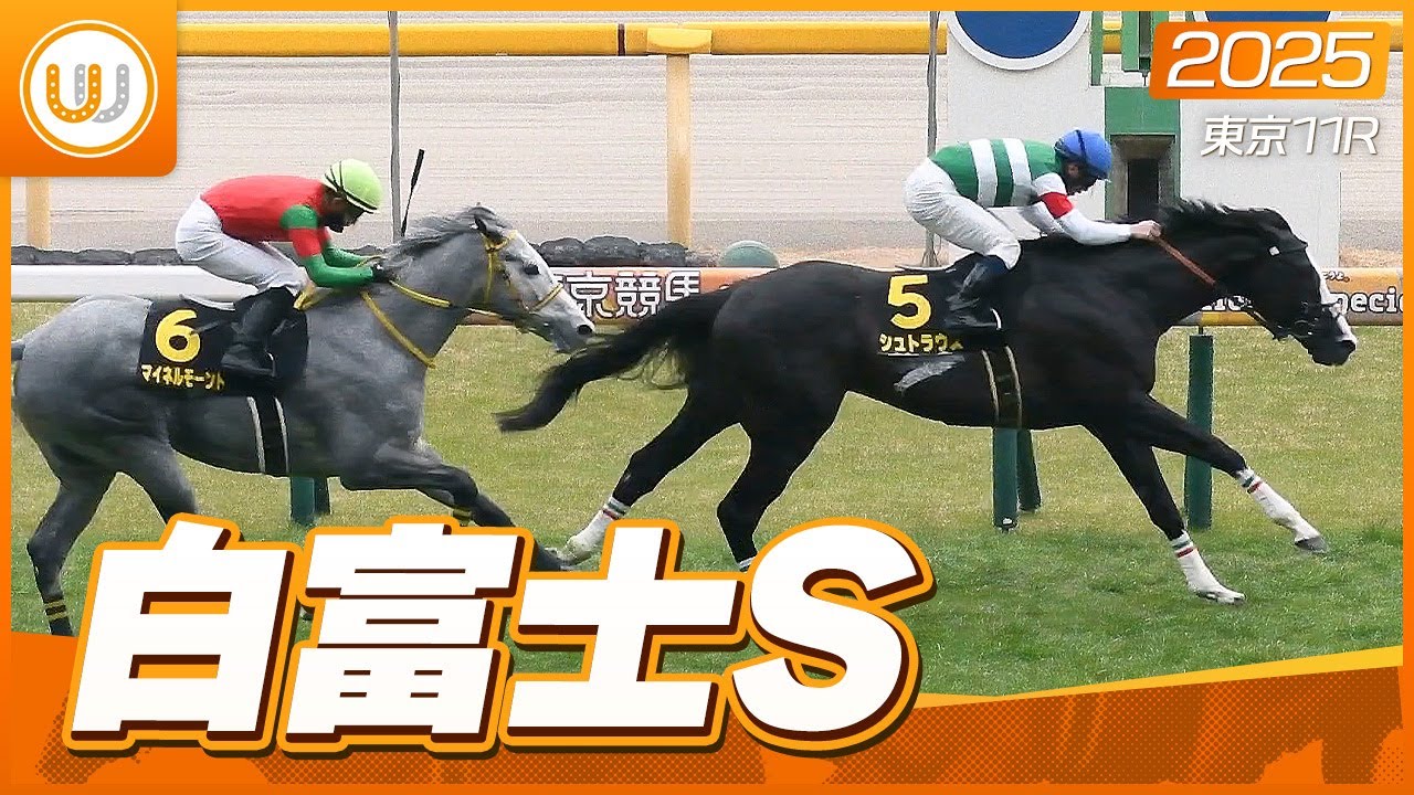 レース映像】東京11R 白富士ステークス｜シュトラウス（北村宏司 