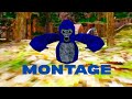 1st montage ft:Zilo #gtag #vr 