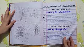 11th &amp; 12th Class Biology Practical Notebook 2026 | Complete Solved | Study Zonex