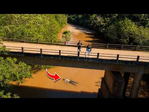 I CAN'T BELIEVE WHAT WE FOUND UNDER THE BRIDGE OF DEATH!