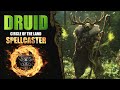 Baldur's Gate 3 Land Druid Class Guide 🔥 (Spellcaster Build)